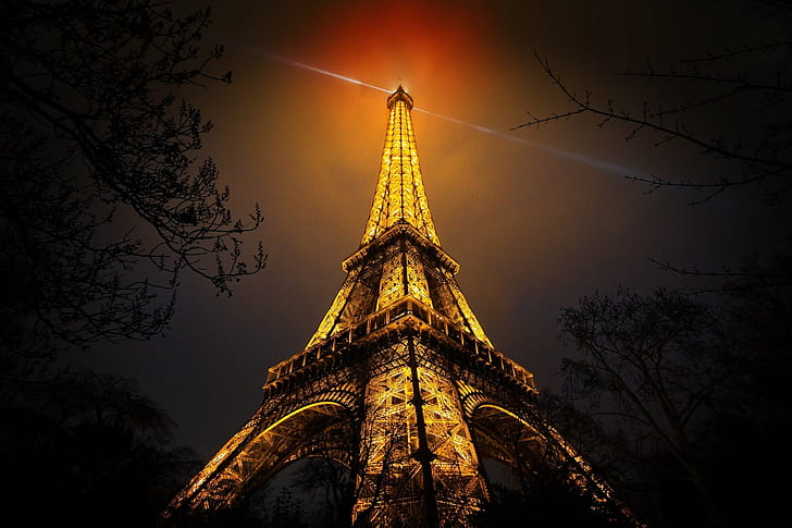 HD wallpaper: Artificial Lights, black, branch, Eiffel Tower, France, gold  | Wallpaper Flare
