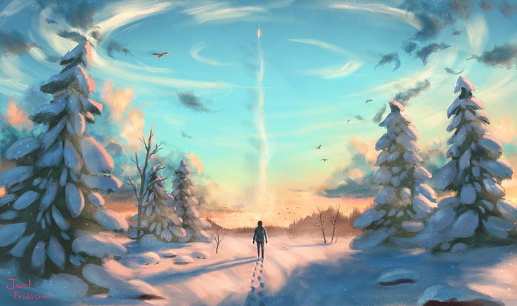 person standing near pine tree wallpaper, landscape, snow, birds
