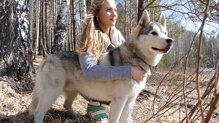 Girl and husky dog in the forest, siberian husky
