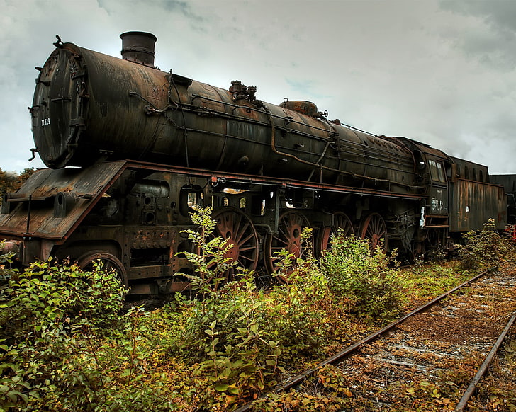 brown and black steamed train, steam locomotive, vehicle, wreck, HD wallpaper
