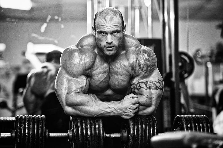 muscles, bodybuilder, morgan aste, big rock, HD wallpaper