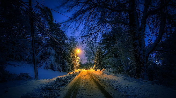 nature, landscape, winter, street, lantern, snow, trees, tracks