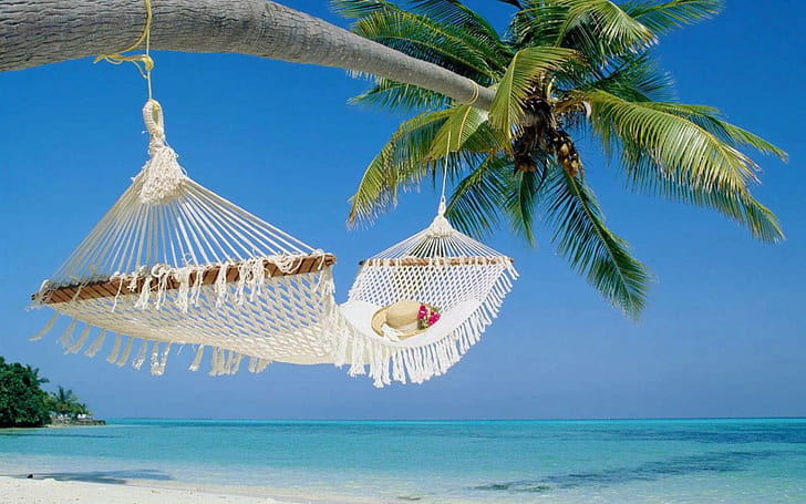 Summer relax place, white hammock, beach