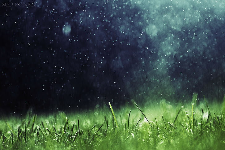 artwork nature rain grass, plant, field, night, green color, HD wallpaper