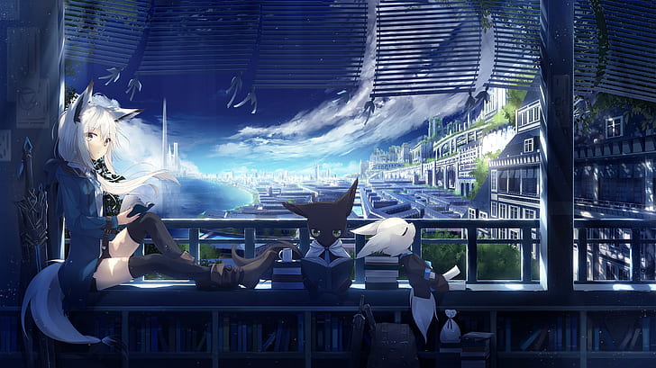 HD wallpaper: anime, night