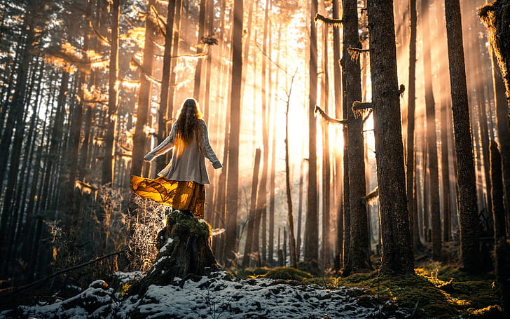 HD wallpaper: Girl in forest, trees, snow, sun, women's white long ...