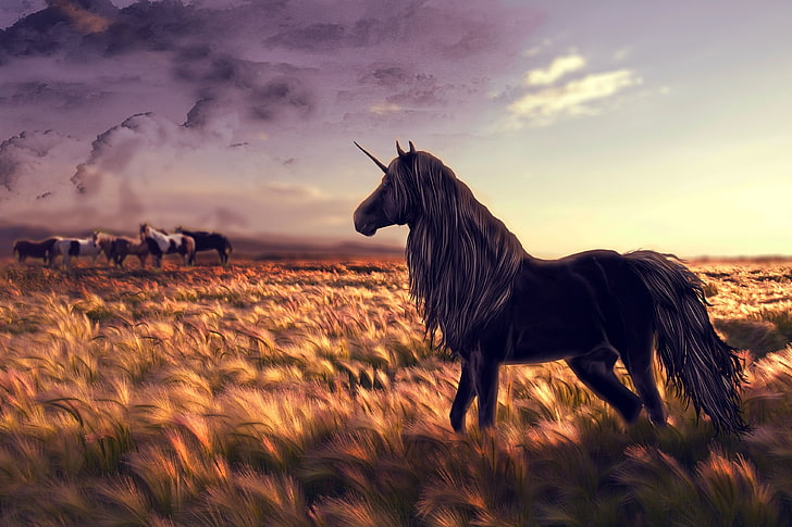 black unicorn of wheat field digital wallpaper, horse, golf, art