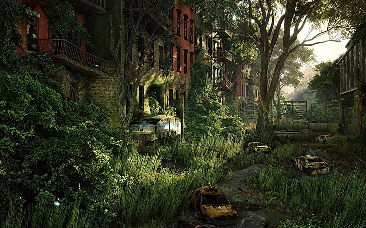 abandoned cars and buildings at daytime, forest, nature, Crysis 3