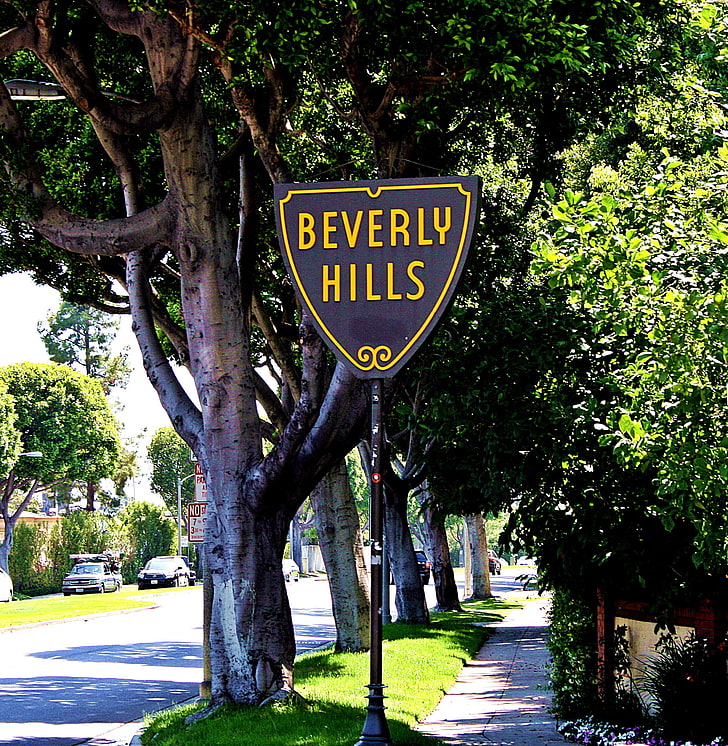 beverly hills, tree, plant, text, western script, communication