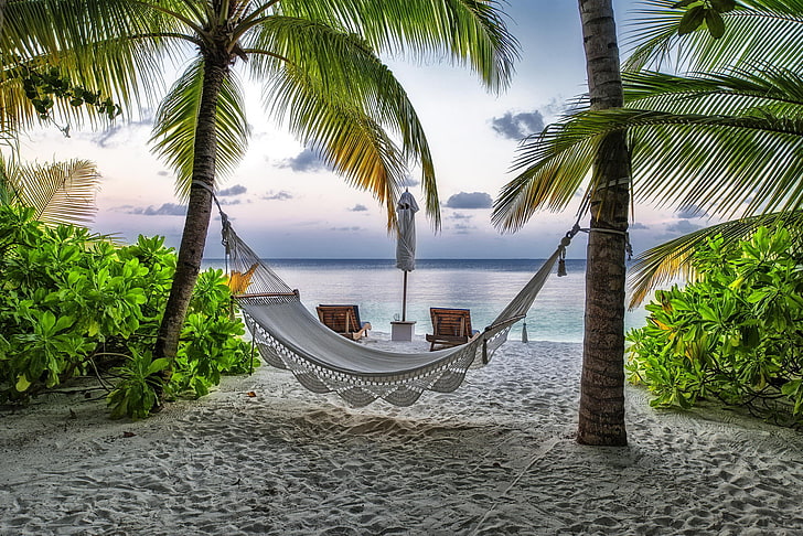 HD wallpaper: white fabric hammock, beach, summer, palm trees, stay, The Maldives | Wallpaper Flare