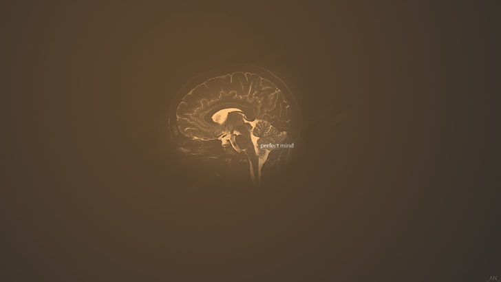 human brain wallpaper, simple background, light bulb, no people
