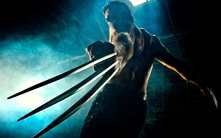 Wolverine digital wallpaper, adult, one person, facial hair, beard, HD wallpaper
