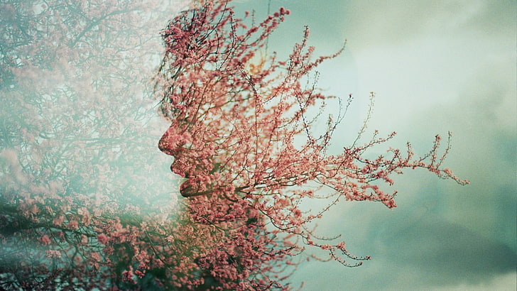 red leafed tree, digital art, artwork, trees, plants, flowers