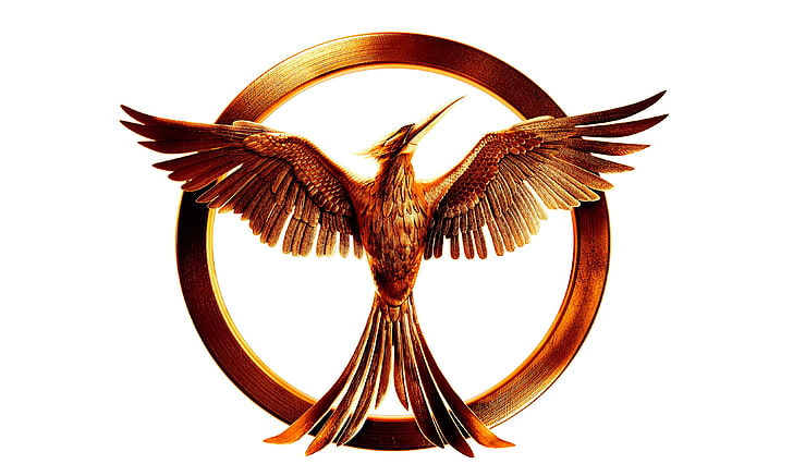 The Hunger Games, movies, studio shot, white background, indoors, HD wallpaper