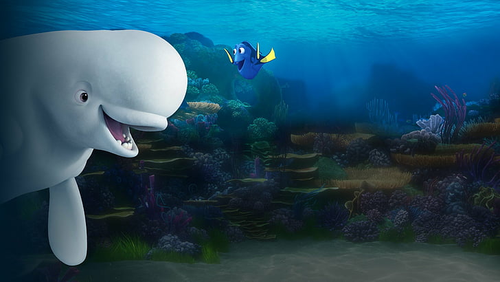 Movie, Finding Dory, Bailey (Finding Dory), Dory (Finding Nemo), HD wallpaper