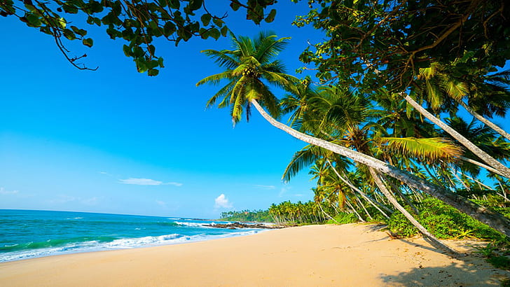 Arugambay Exoctic Beaches Sri Lanka Sandy Beaches Blue Waters Palm Trees Blue Sky Photo Wallpaper Hd 1920×1080, HD wallpaper