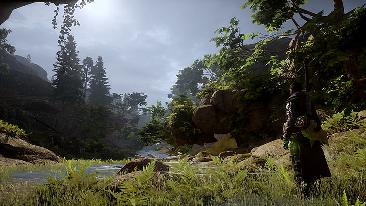 Dragon Age Inquisition, video games, plant, tree, beauty in nature, HD wallpaper