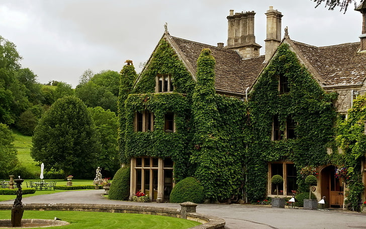 house, ivy, trees, England, Wiltshire, building exterior, architecture