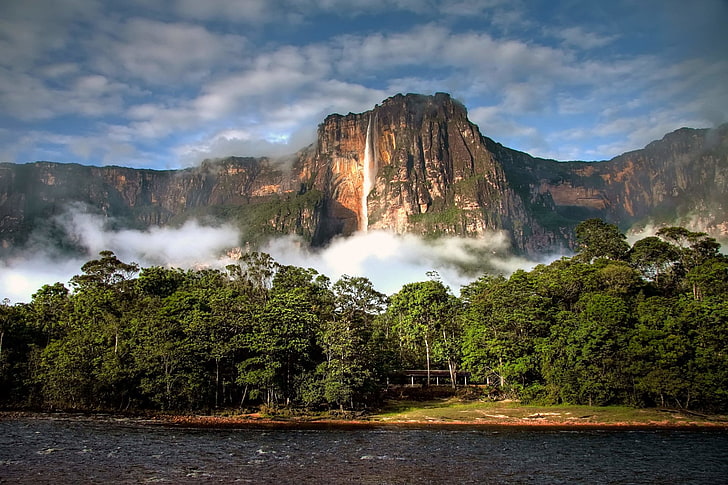 Waterfalls, Angel Falls, Cliff, Mountain, Venezuela, tree, scenics - nature, HD wallpaper
