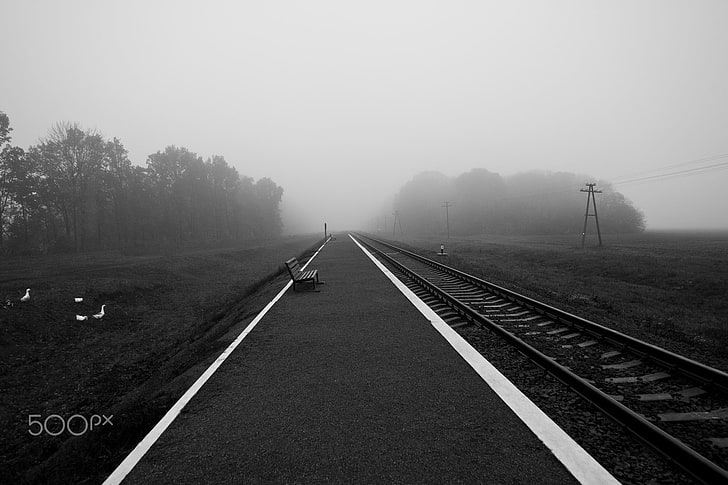 photography, nature, fog, transportation, direction, the way forward