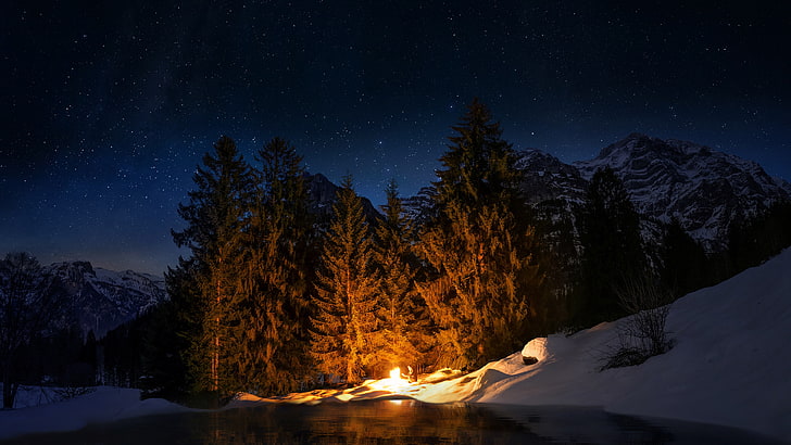 starry sky, nature, winter, snow, forest, night, tree, campfire, HD wallpaper