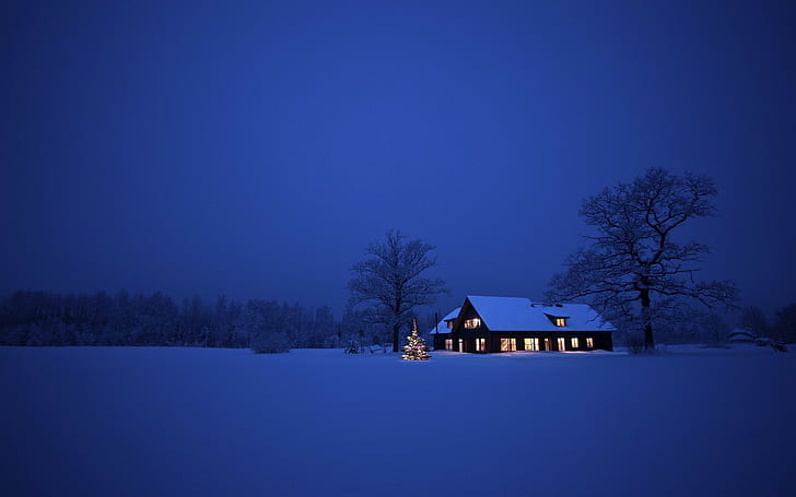 winter, house, snow, Christmas Tree, night, blue, HD wallpaper