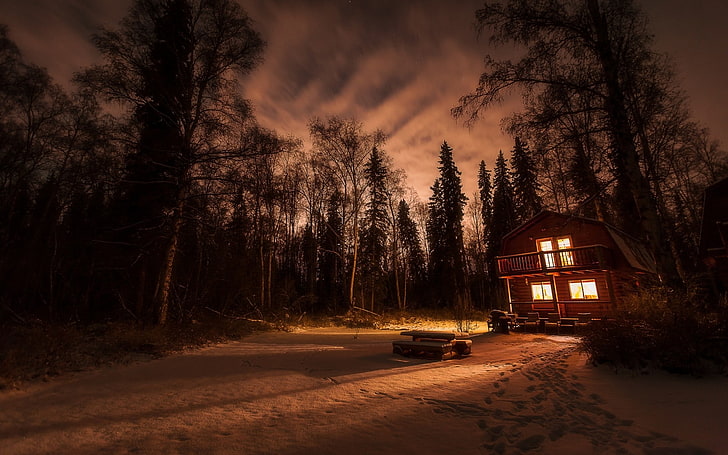 nature, landscape, snow, winter, cottage, forest, night, lights