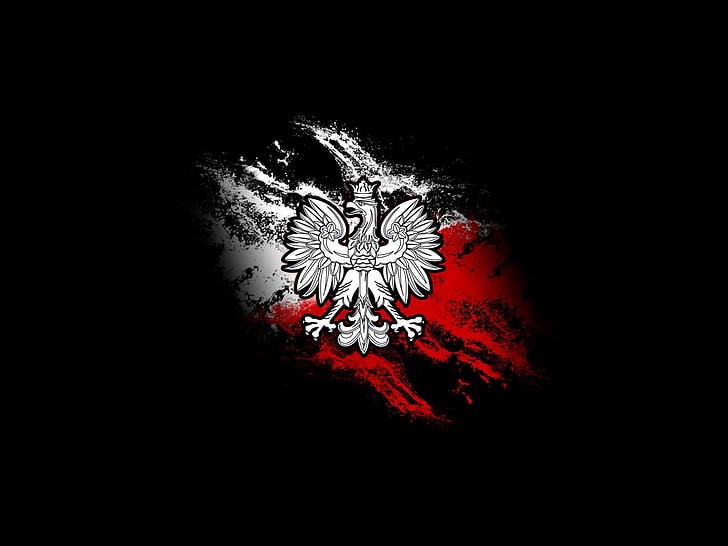 eagle logo, black background, red, studio shot, indoors, copy space