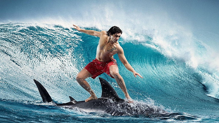 funny, surfing, surfer, swimmer, sea, water, ocean, beach, wave, HD wallpaper
