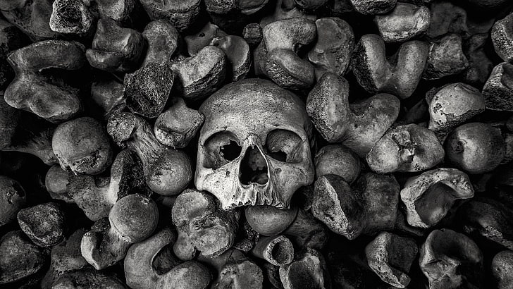 HD wallpaper: bones, skull, monochrome, full frame, backgrounds, no people  | Wallpaper Flare