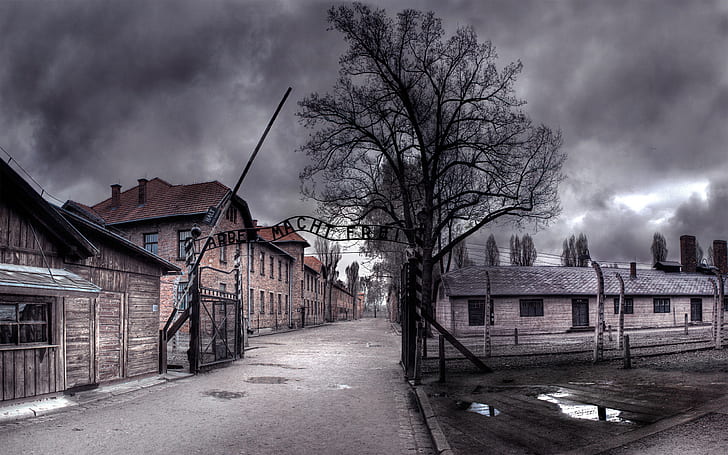 Arbeit Macht Frei Concentration Camp, nature and landscape, HD wallpaper