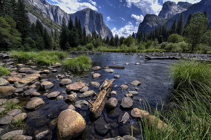 body of water surrounded by trees and plants with mountain background, yosemite valley, merced river, yosemite national park, yosemite valley, merced river, yosemite national park, HD wallpaper