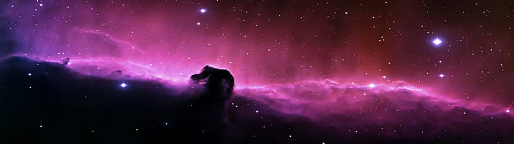 space, Horsehead Nebula, digital art, space art, night, star - Space