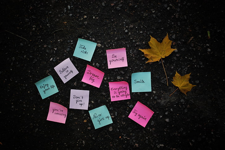 pink and teal sticky note lot, autumn, leaves, surface, paper