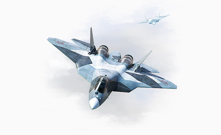 gray and black fighter jet, Figure, The plane, Wings, Russia