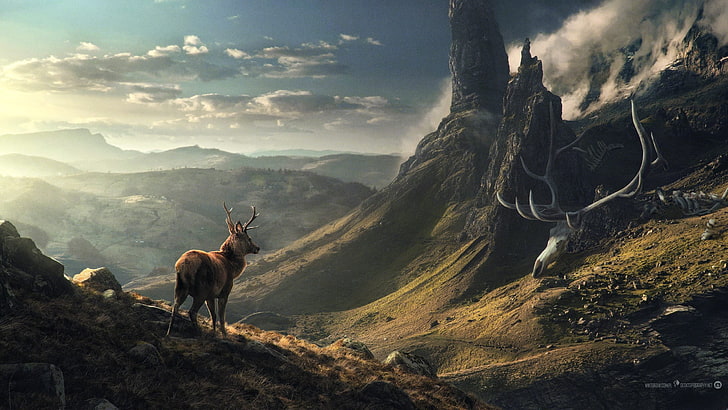 brown deer and mountain, landscape, elk, mountains, skeleton, HD wallpaper