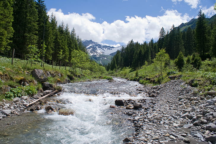 river near pine trees during daytime, Mountain stream, mountains
