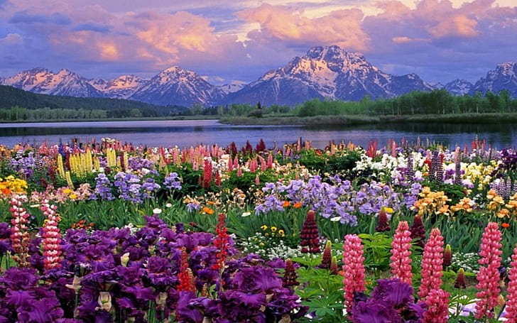 Mountains Landscapes Flowers Garden Scenic Lakes Wildflowers Wild Desktop 2560×1600 Hd Wallpaper