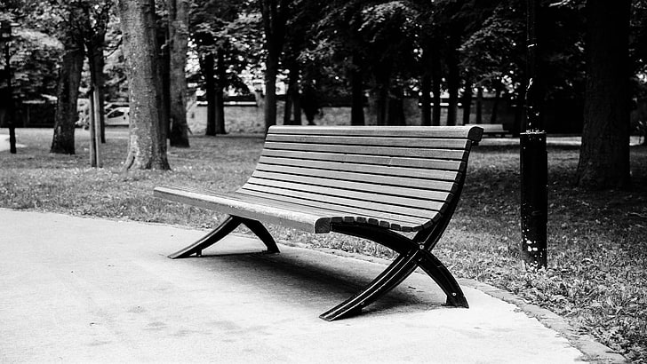 bench, park, monochrome, seat, tree, empty, plant, absence, HD wallpaper
