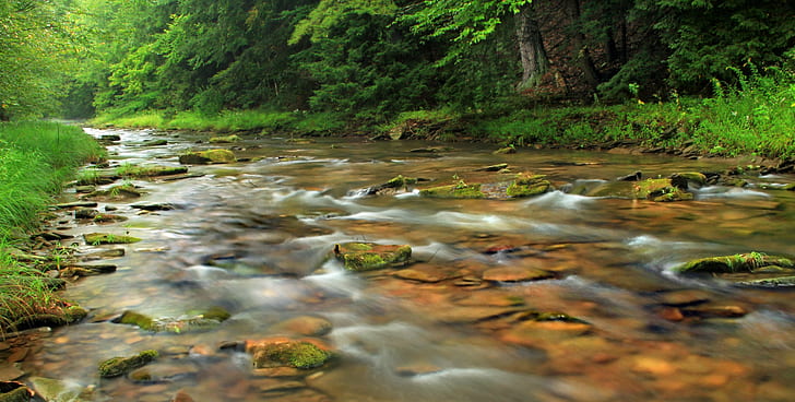 river near green grass, Hammersley Fork, Revisited, Pennsylvania, HD wallpaper