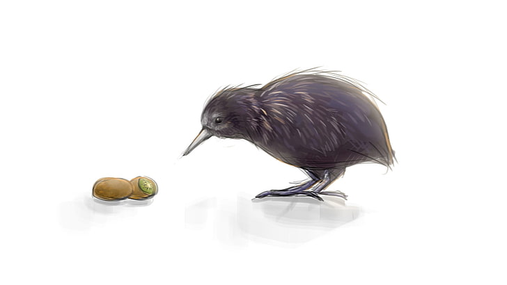 Kiwi bird illustration, kiwi (animal), birds, kiwi (fruit), animal themes, HD wallpaper