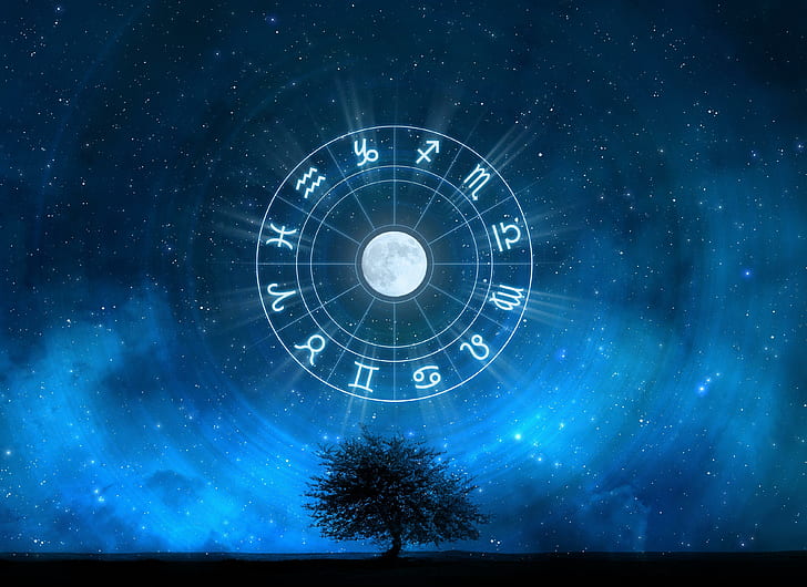 Signs of the Zodiac in the starry sky, tree, night, nature, circle