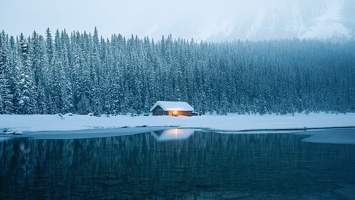 ice, house, snow, cabin, winter, trees, lake