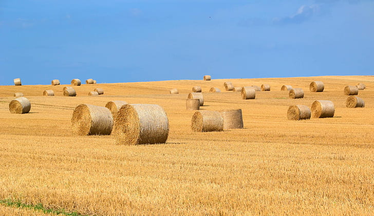 agriculture, arable, bale, countryside, crop, dry, farm, farming, HD wallpaper
