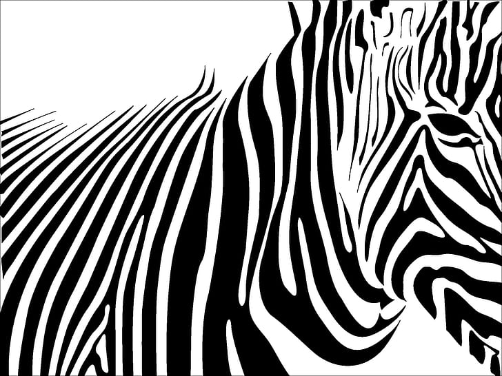 Animals, Zebra, Horse, Black, White, Lines, Head, Eyes, Art, Abstract, HD wallpaper
