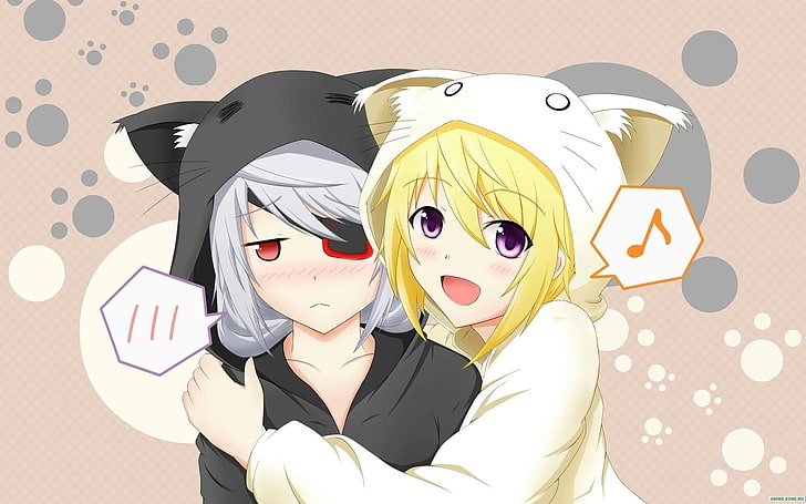 two animated character illustrations, anime, Infinite Stratos