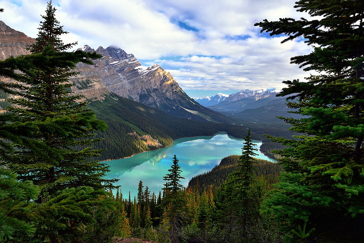 plants, landscape, water, lake, forest, Canada, Banff National Park