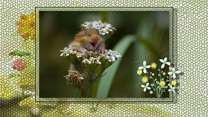 Oh Happy Day, tiny, yellow, critter, white, green, flowers, animals, HD wallpaper