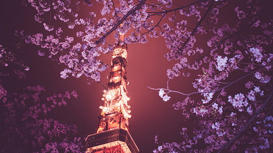 Premium Photo | Fantasy night city japanese landscape, neon light,  residential buildings, big sakura tree.