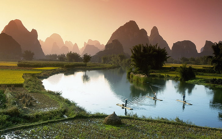 body of water surrounded by grass, vietnam, crops, fields, fishermen
